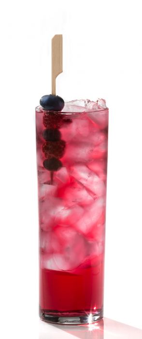 SUMMERTIME COLLINS