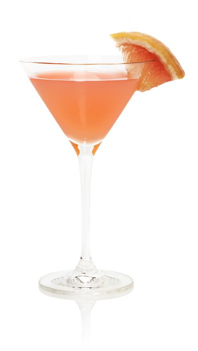 ROOFTOP MARTINI