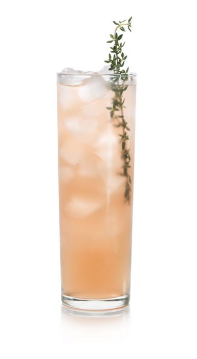 WINTER THYME