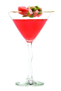 WATERMELON SPRITZER