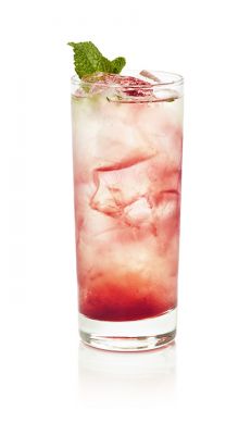 BLACKBERRY ICICLE