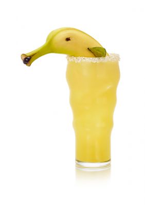 HOLIDAY PALOMA