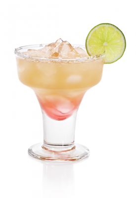 CACTUS COOLER
