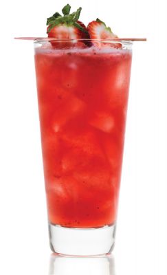 COCO BERRY MOJITO