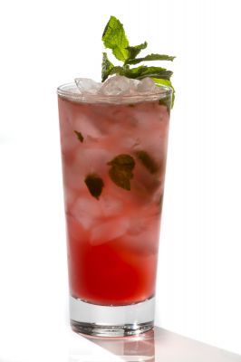 SUMMERTIME MOJITO