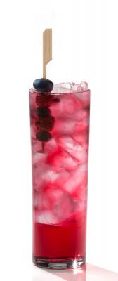 SUMMERTIME COLLINS