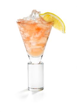 WATERMELON SPRITZER
