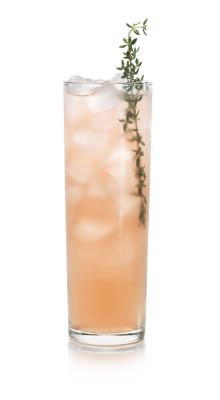 WINTER THYME
